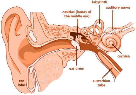 hearing_loss
