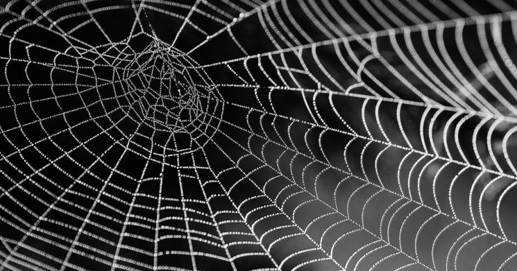 Spider’s silk for hearing aids…